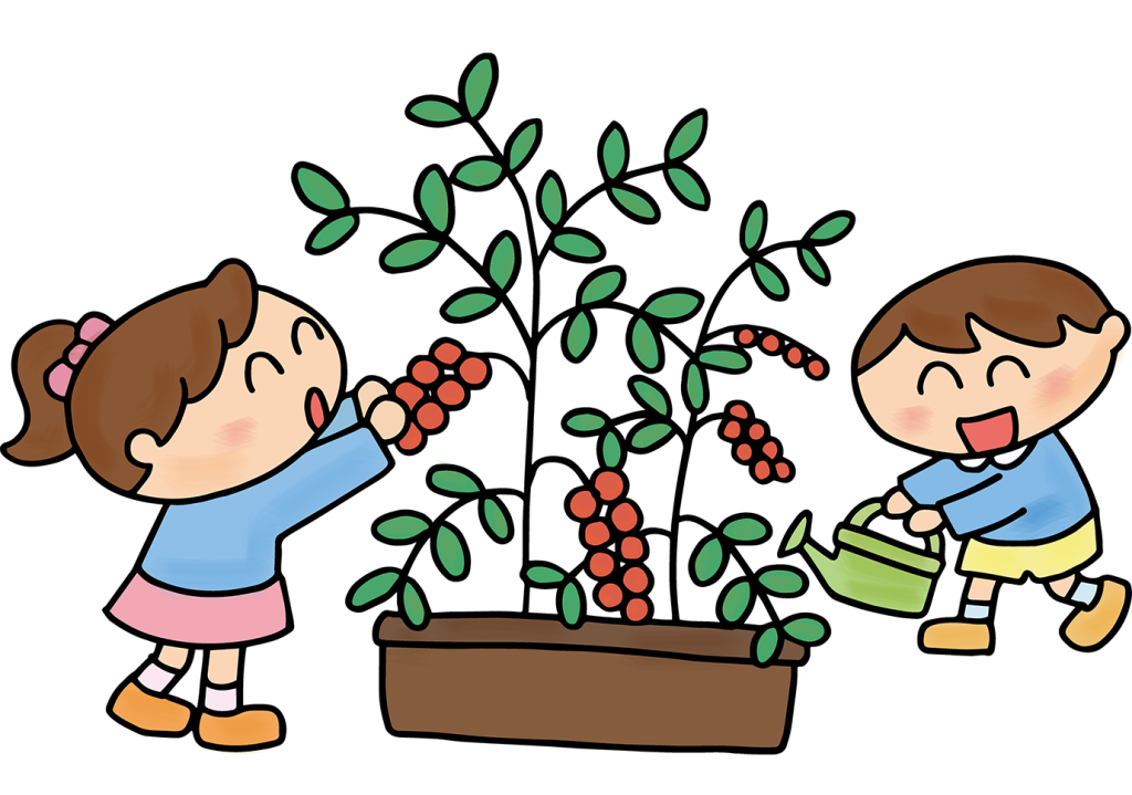 「ミニトマトに水やりをする子供たち（菜園・小さいプランター）」のフリーイラスト