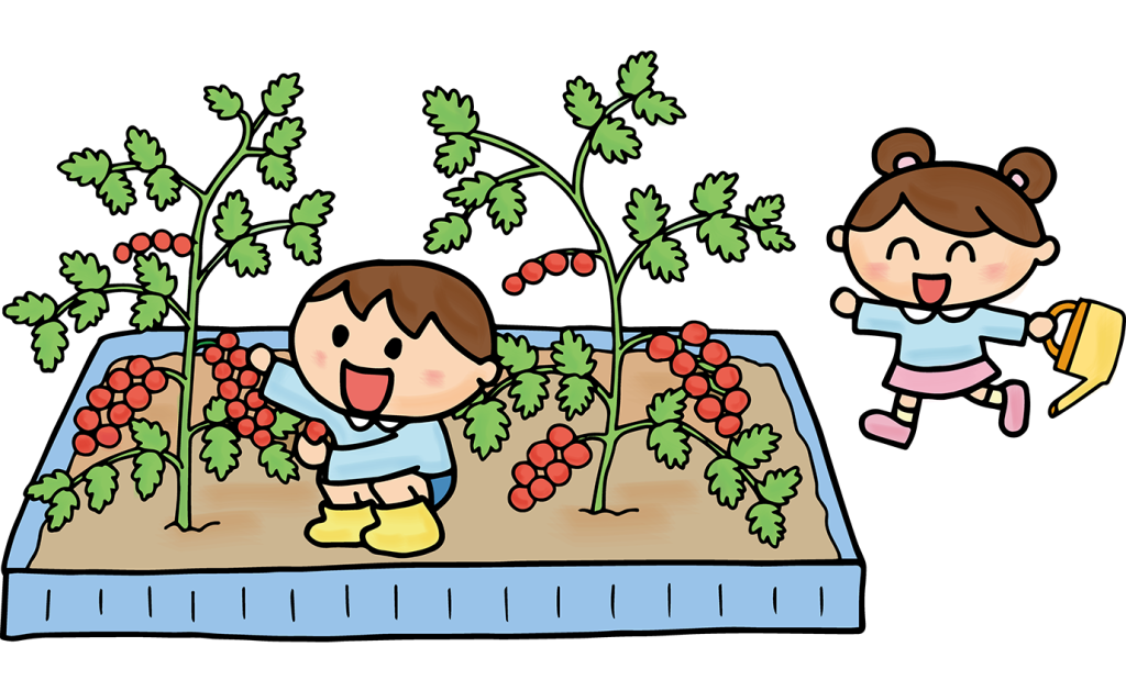 「ミニトマトに水やりをする子供たち（菜園・大きいプランター）」のフリーイラスト