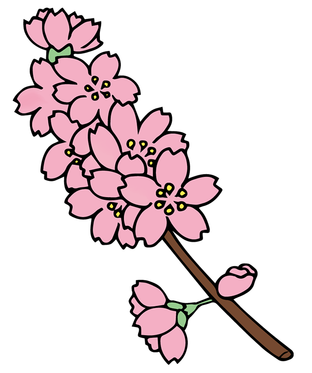 「桜」のフリーイラスト